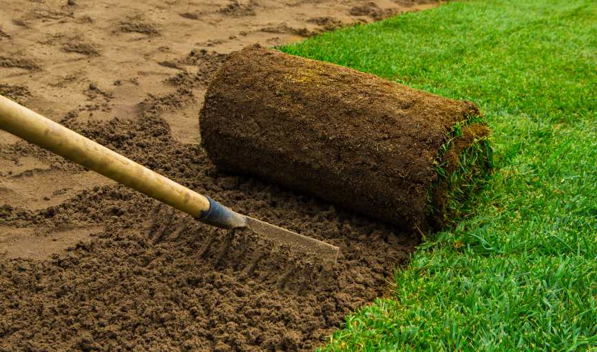SOD INSTALLATION